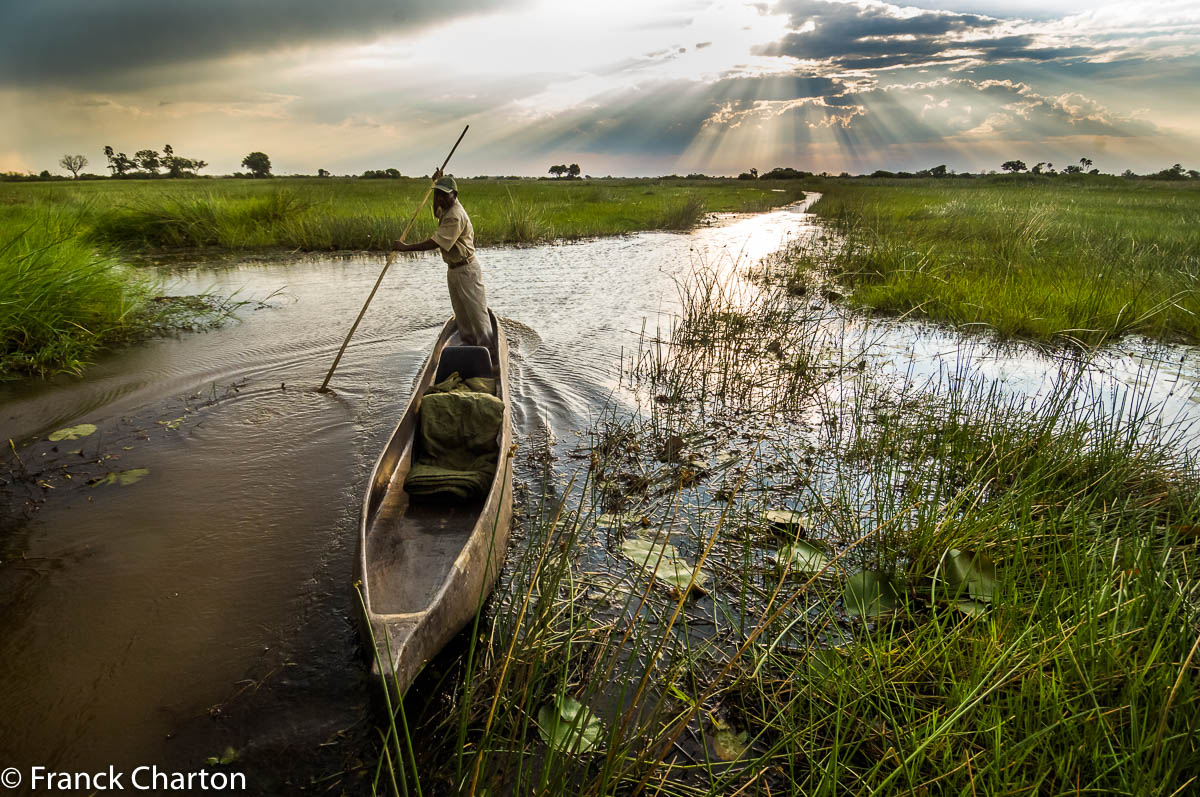 Okavango grand marécage
