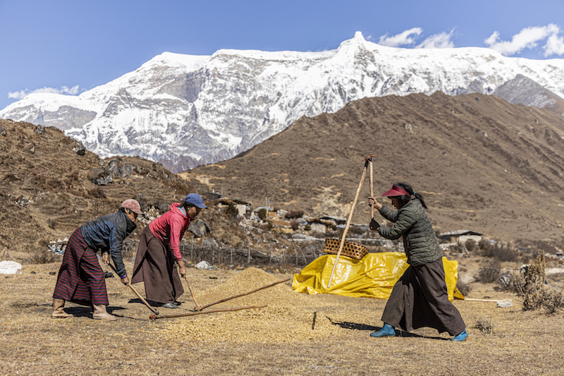 Femme travaillant les céréales au bhoutan