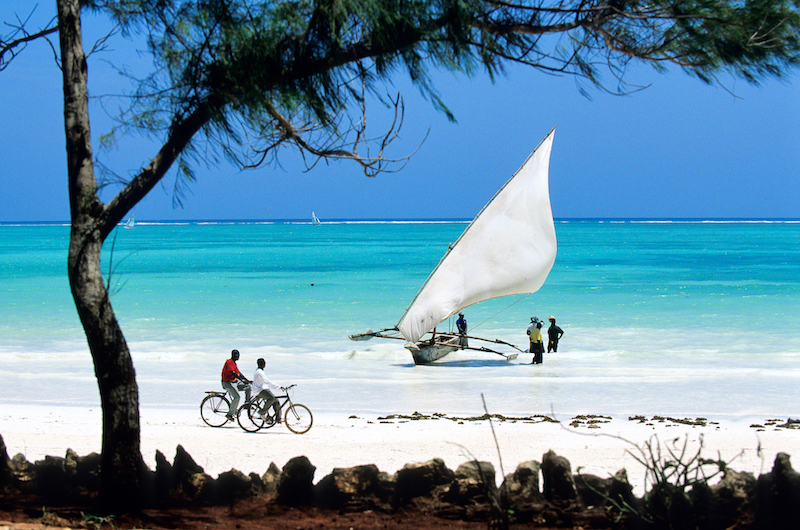 Archipel de Zanzibar, île de Unguja island © Marc Dozier