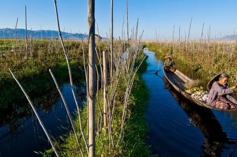 Navigation vers les jardins flottants du lac Inlé dans la région de Nampan