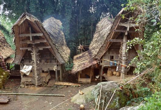 Randonnée vers les maisons du peuple toraja sur l'île de Sulawesi