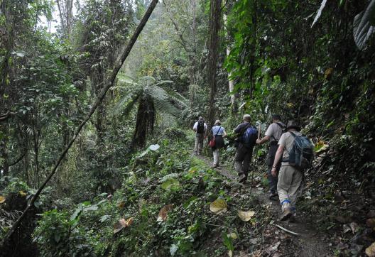 Trek en forêt vers un village du peuple adi en Arunachal Pradesh