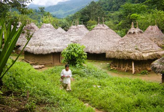 Village Kogi en Colombie
