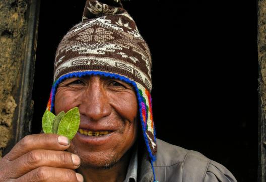 Un Amauta lit dans des feuilles sacrées de coca en Bolivie