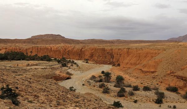 Vers le désert nord oriental d'Algérie Vers le désert nord oriental d'Algérie