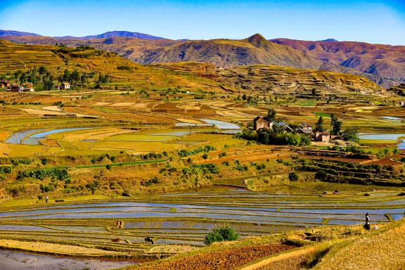 Randonnée dans les rizières et villages des hauts-plateaux du pays Imerina