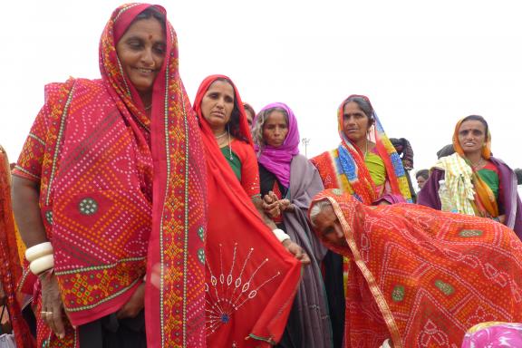 Randonnée vers des femmes rajpoutes en pèlerinage au Rajasthan