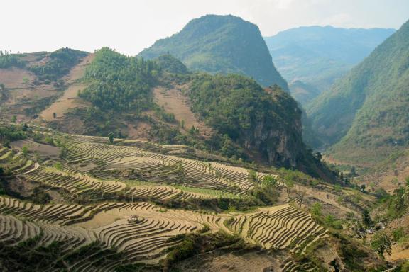Trek le long de rizières en terrasses dans la région de Bao Lac