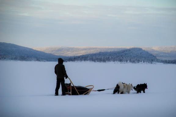 Voyage en traineau et ambiance nordique en Laponie