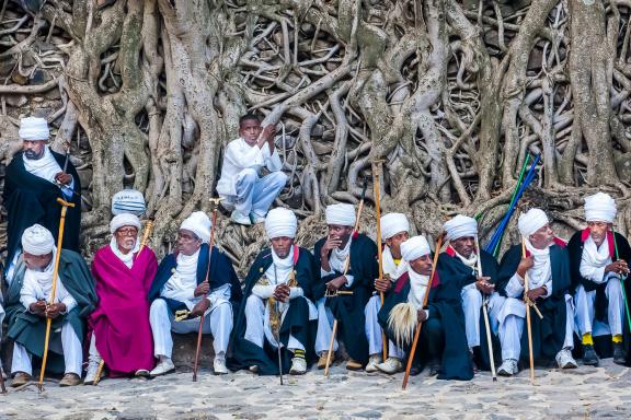 Observation pendant l'Épiphanie des prêtres Assemblée de prêtres sous les figuiers géants de Gondar