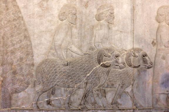 Observation du Mur des offrandes de Persépolis au sud-ouest