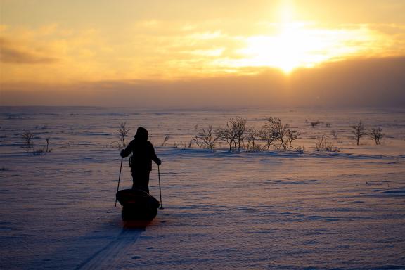 Trekking en ski-pulka et soleil couchant en Laponie
