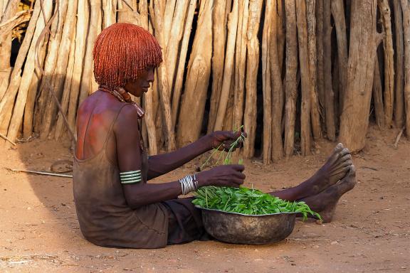 Rencontre d'une femme Hamar triant les feuilles de Moringa près de Turmi