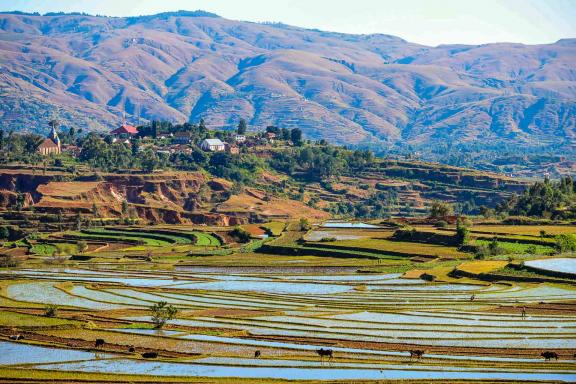 Randonnée dans les villages et rizières des hauts plateaux