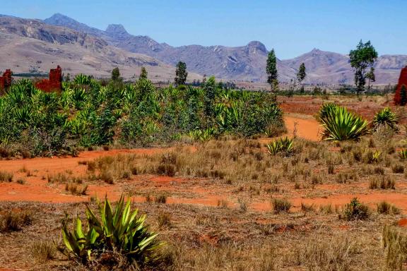 Randonnée dans un paysage de brousse à Madagascar