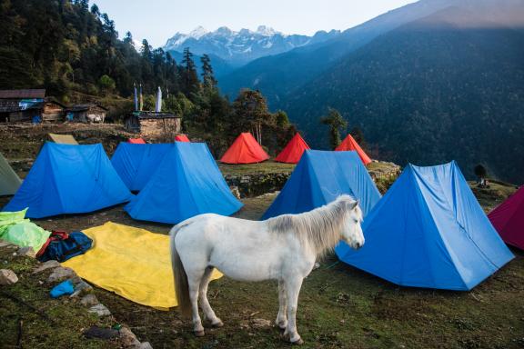 Camp de Tshoka pendant le trek du Gocha-la au Sikkim en Inde