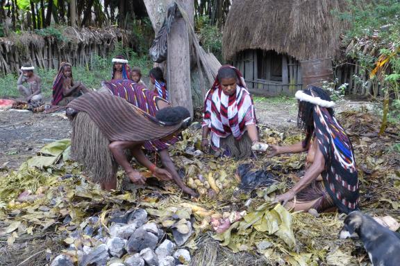 Trek vers la cuisson à l'étouffée dans un village papou dani de la vallée de Baliem