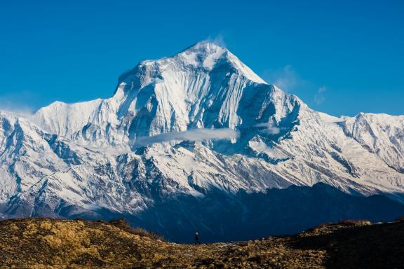 Le Dhaulagiri à 8160 m depuis le belvédère de Muldai près de Dobato au Népal