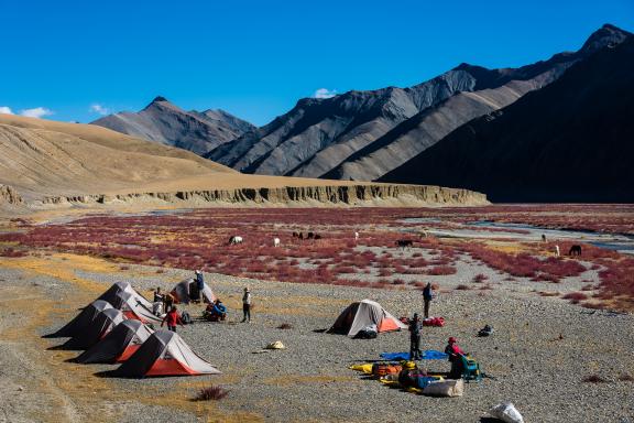 Bivouac au Rupshu Changtang au Ladakh en Inde