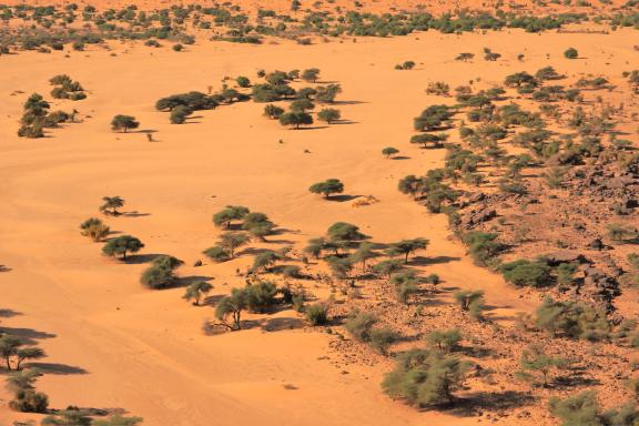 Randonnée et végétation dans la vallée blanche en Mauritanie