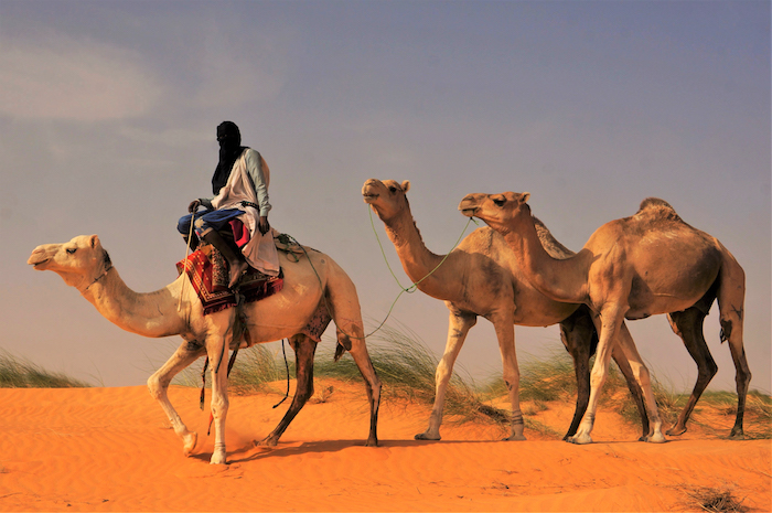 mauritanie © Louis Marie Blanchard