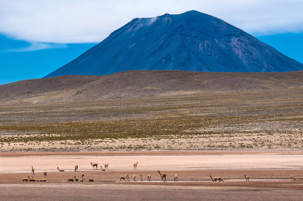 Le volcan Misti à Salinas, région d'Arequipa © David Ducoin