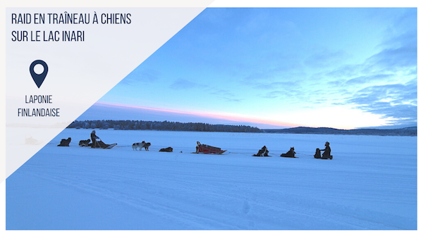 traineau à chien laponie