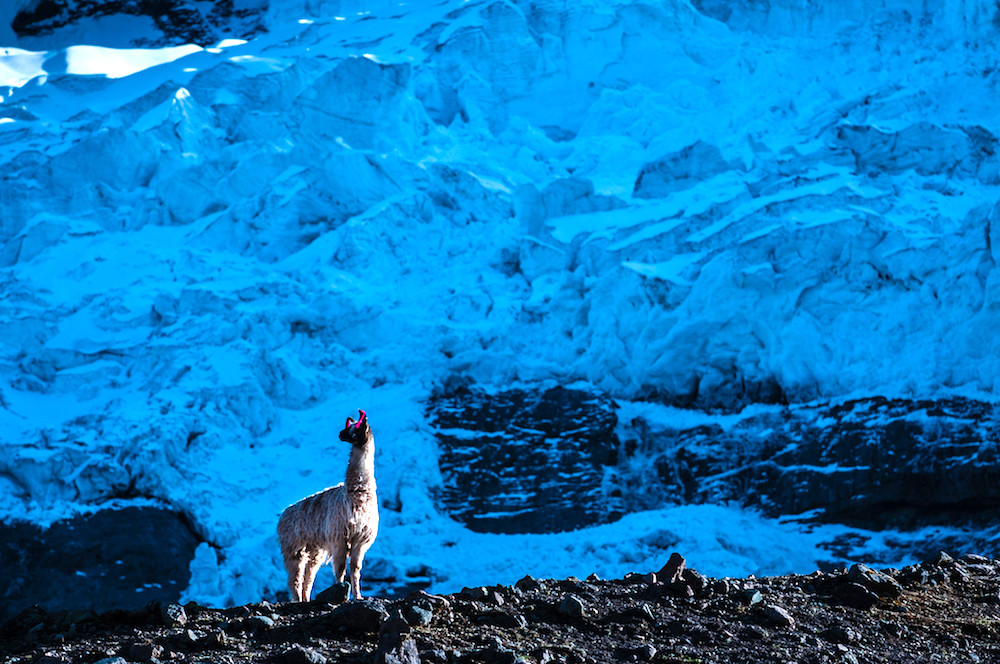 Ausangate Cocha © David Ducoin