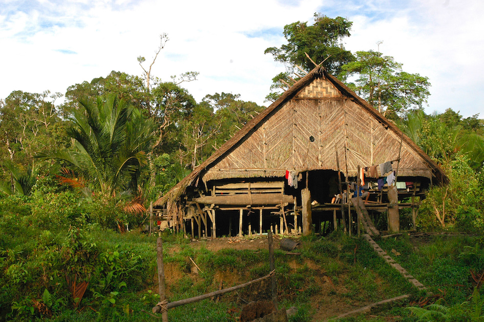 maison mentawai