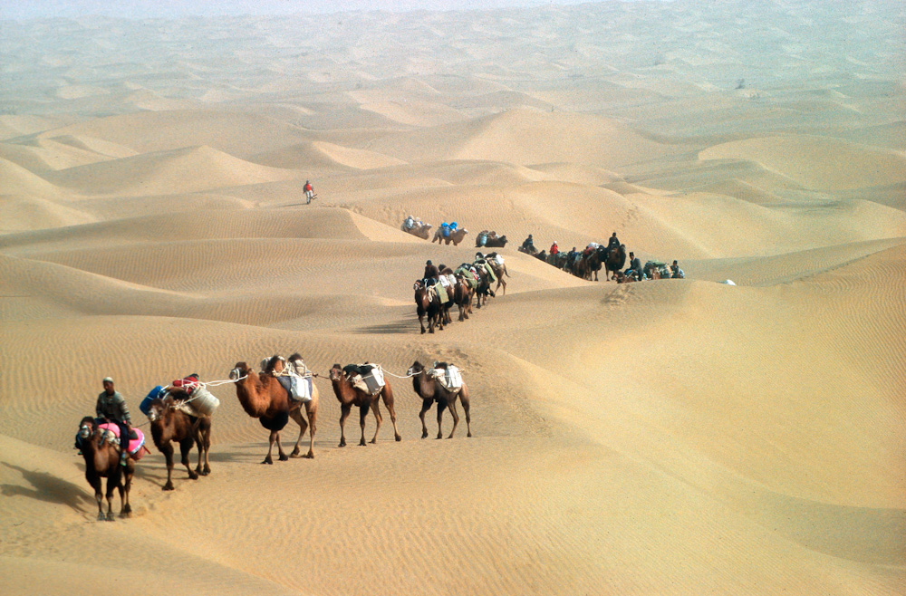 Marcheurs lors d'une Grande Caravane Tamera