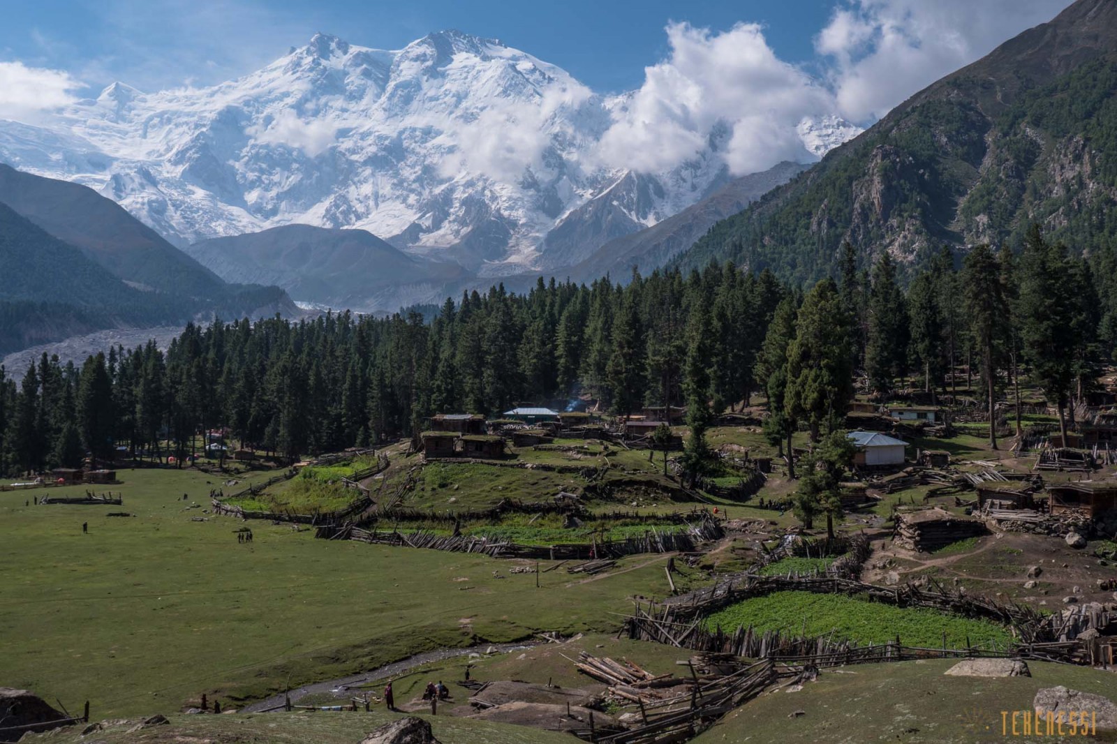 Naga Parbat