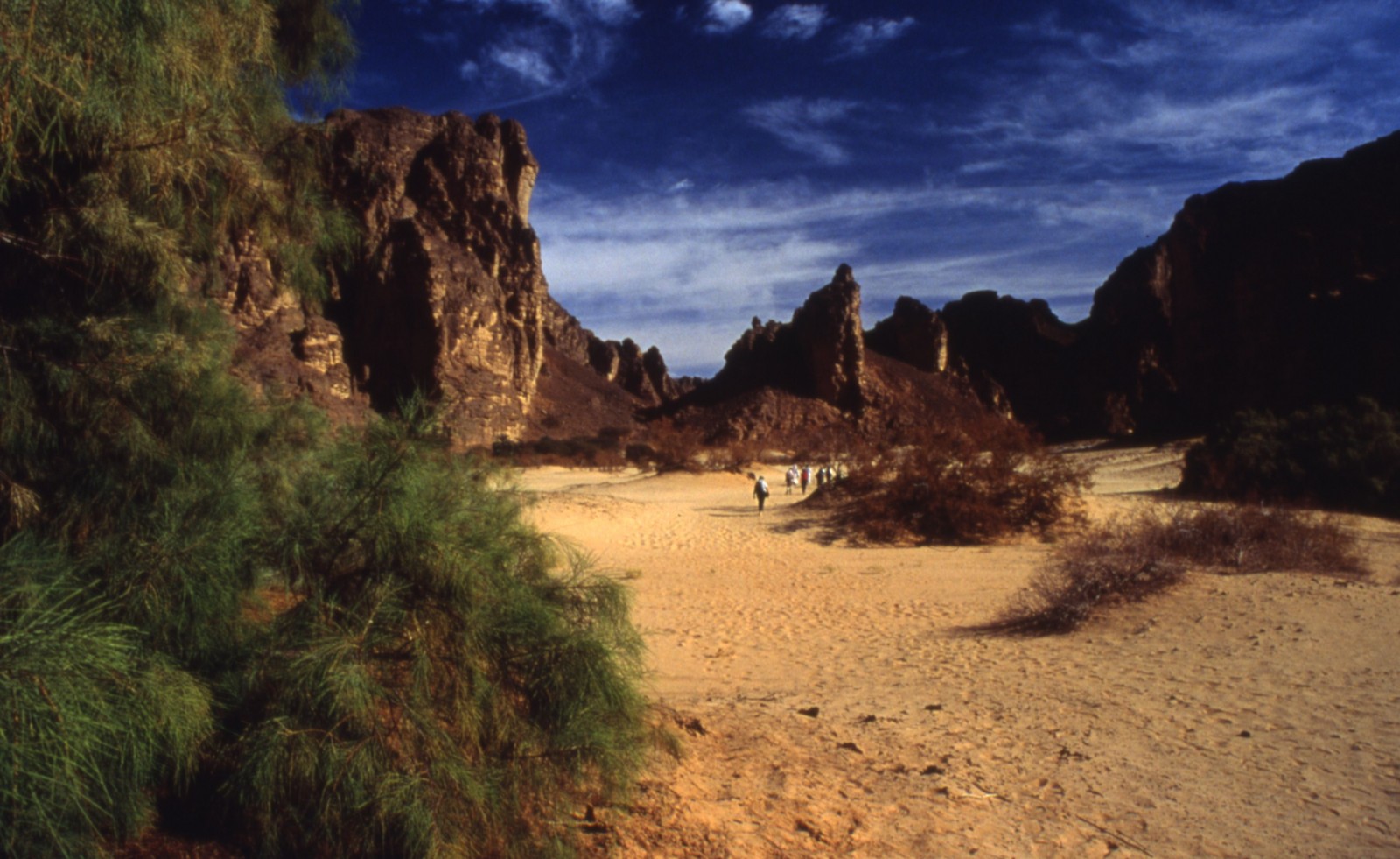 Paysage du grand Sud algérien