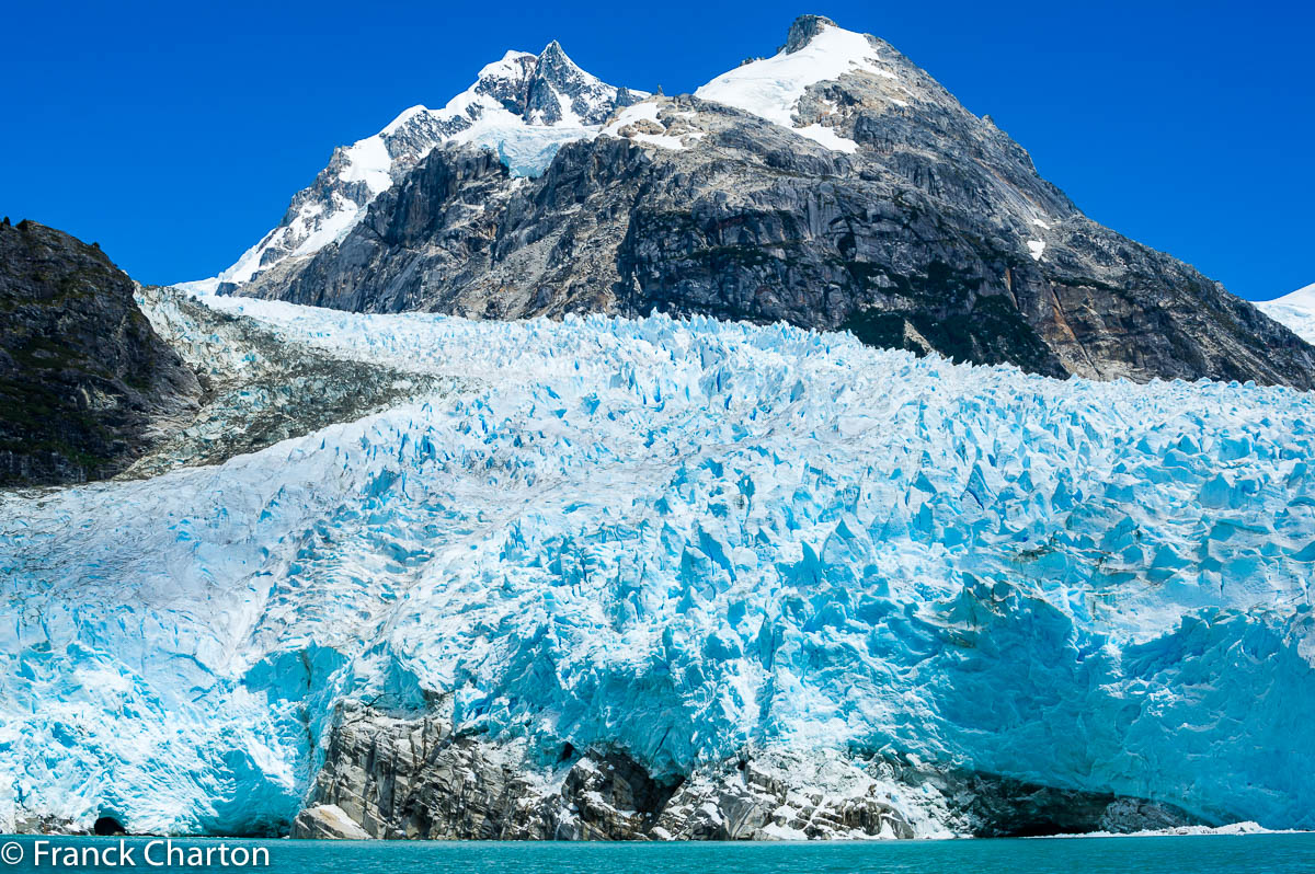 Le titanesque front de glace bleue du Nevado Leones, haut de plusieurs immeubles, s’observe le mieux depuis un zodiac, mais à distance respectable.