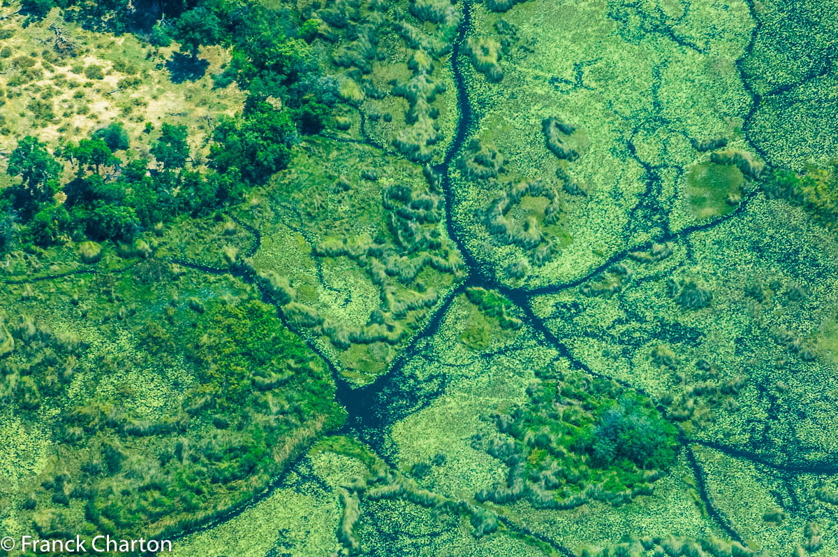 Le delta de l’Okavango