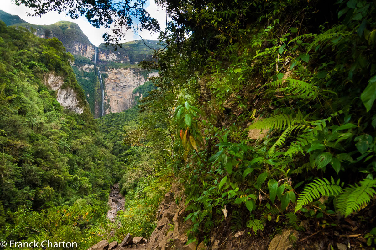 région d’Amazonas 