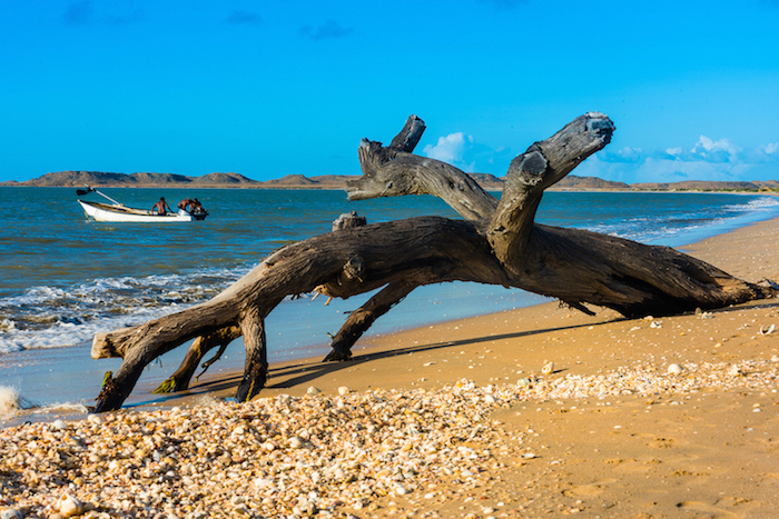 La guajira