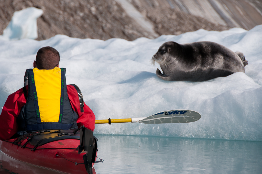 Expédition kayak en pleine nature