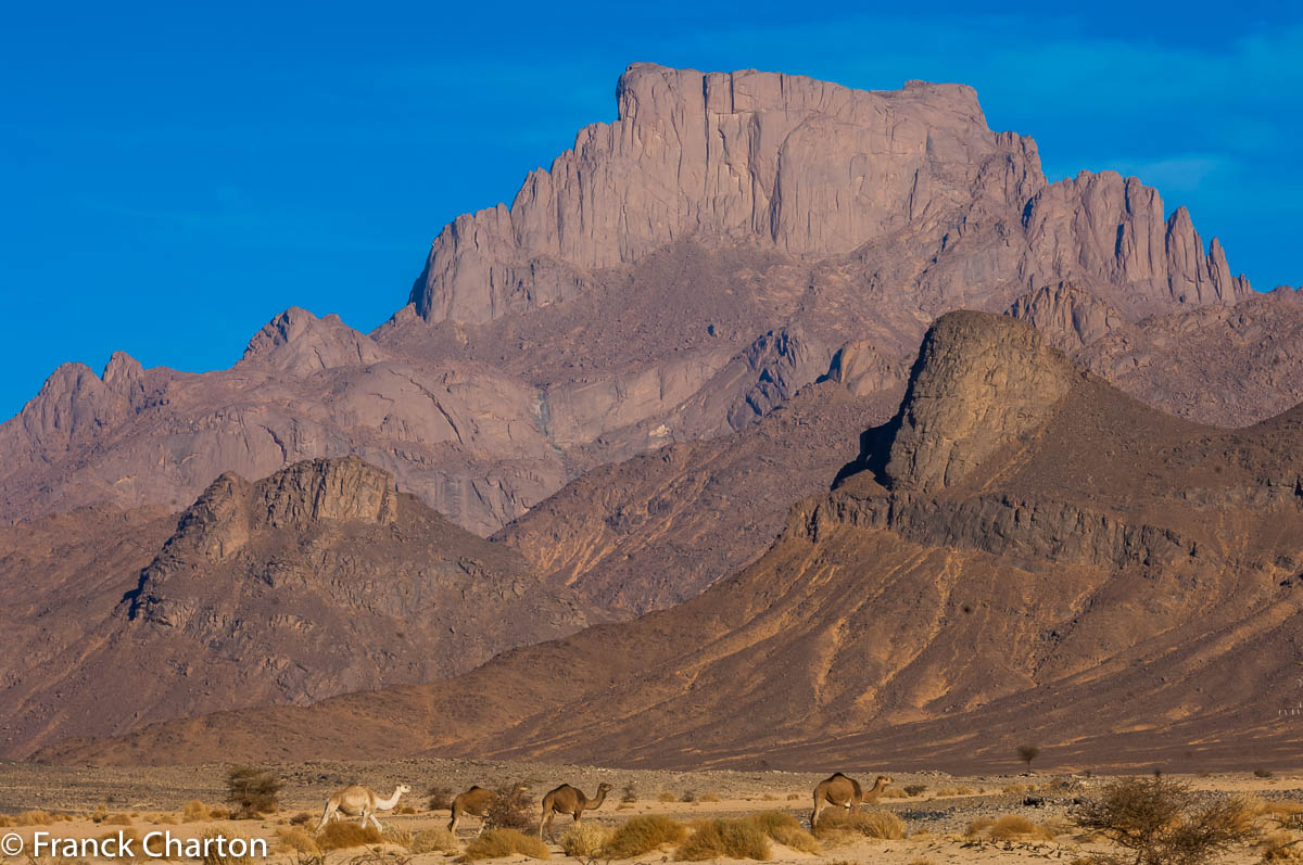 Etrave de pierre de la Garet el Djenoun (Montagne des Génies), l’Oudane sacrée des Touareg. 