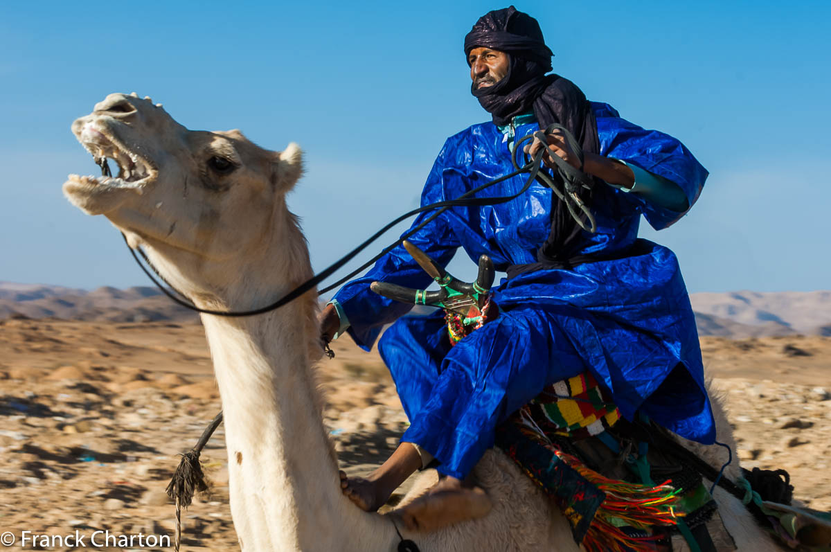 Course de dromadaires, près de Tamanrasset. 