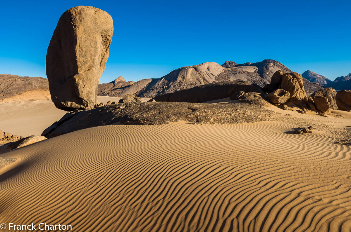 Insolite monolithe de grès au sommet d’une dune, Tesnou.