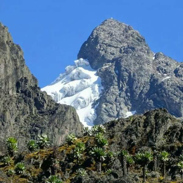 Photo de glacier