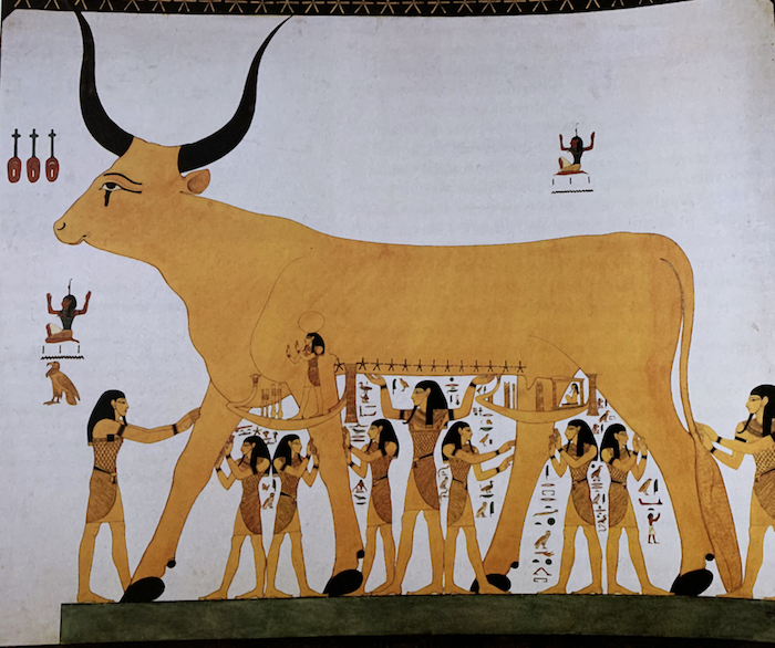 Vache celeste