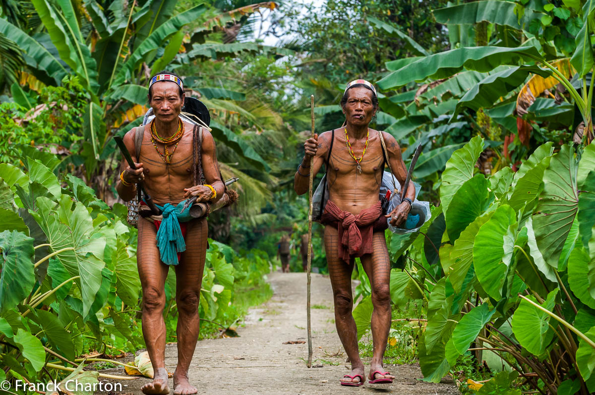 Mentawai siberut arc