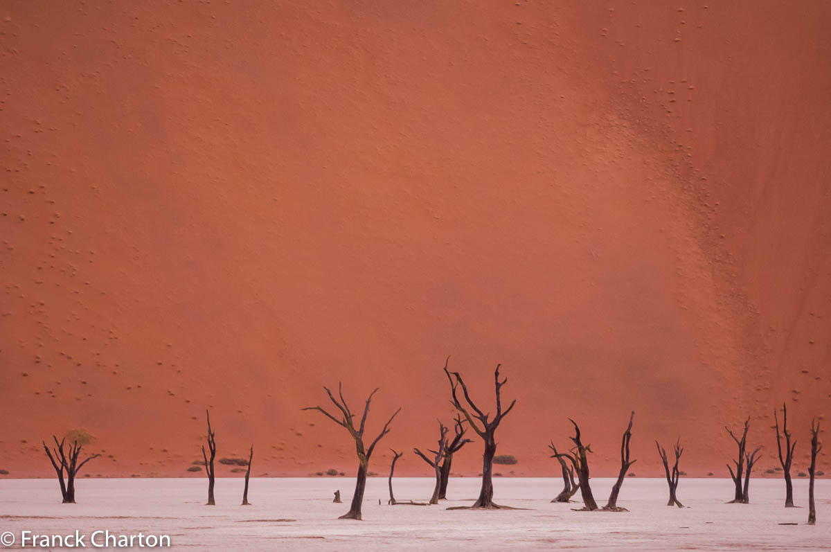 Le tableau surréaliste de Deadvlei (« marécage mort » en afrikaan), dans les dunes géantes du Parc National du Namib Naukluft. 