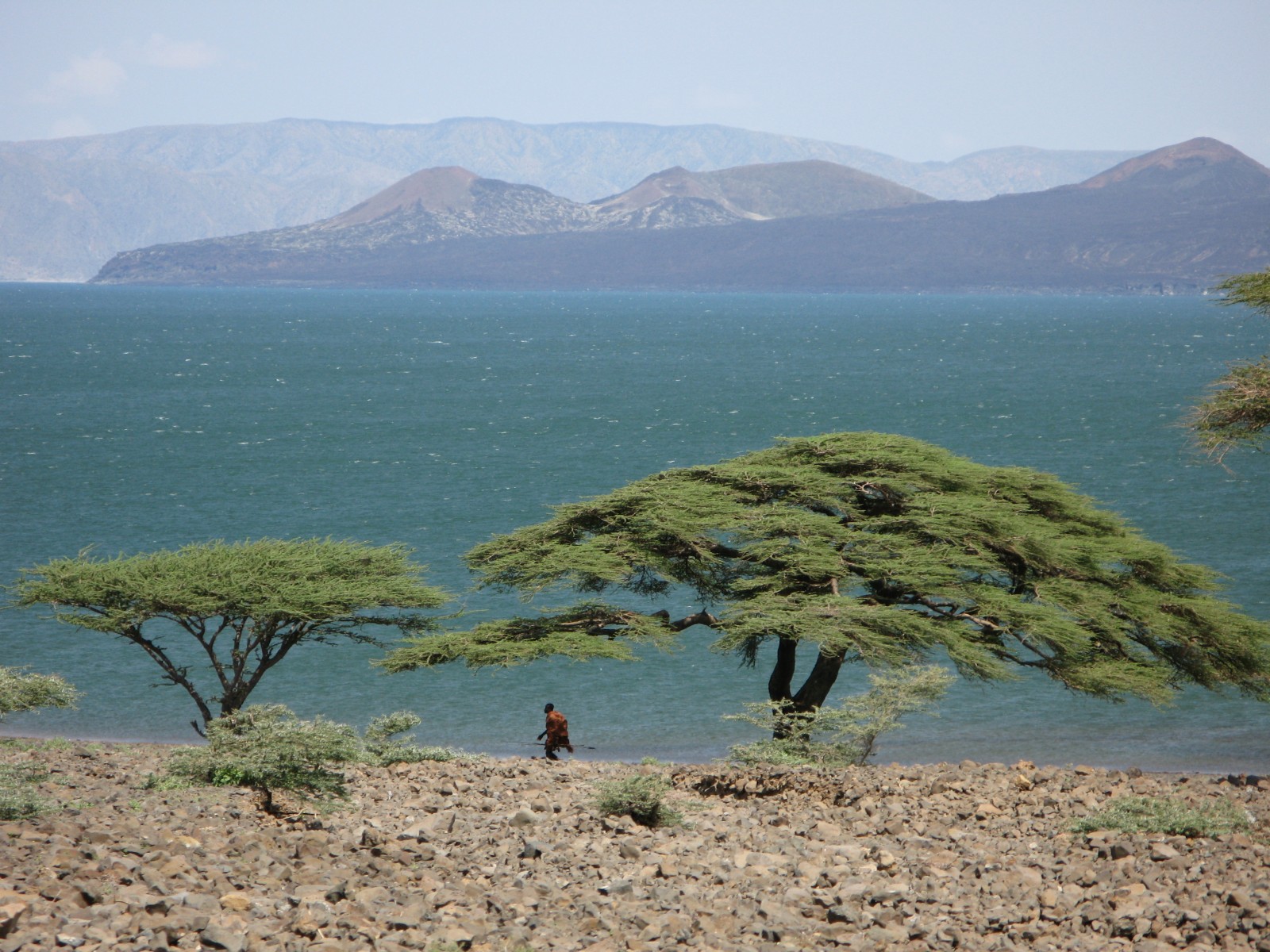 Peuples Rendille et Turkana du nord du Kenya