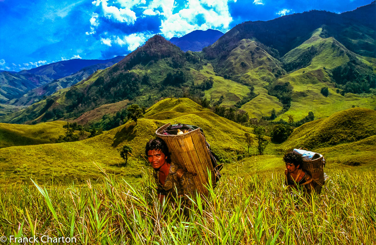 Deuxième jour de trek en direction du Gunung Tokala. 