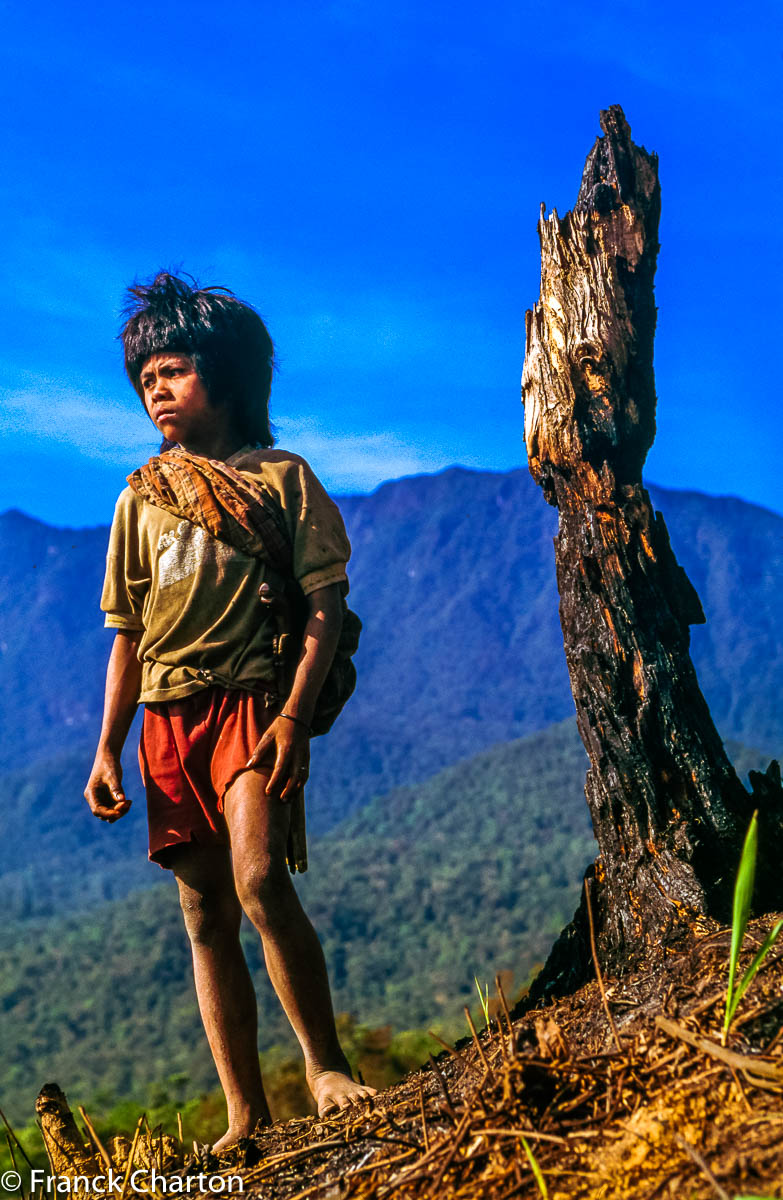 Le jeune Toruk, deux ans après ma première visite, devant un pan de montagne entièrement défriché, pour créer une immense plantation d’huile de palme.  