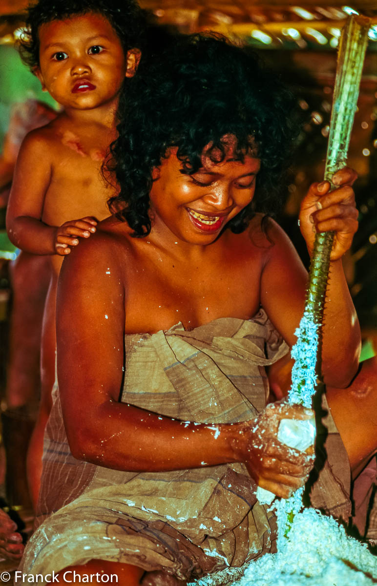 Femme préparant de la farine de manioc en grattant la pulpe contre une tige de pandanus.  