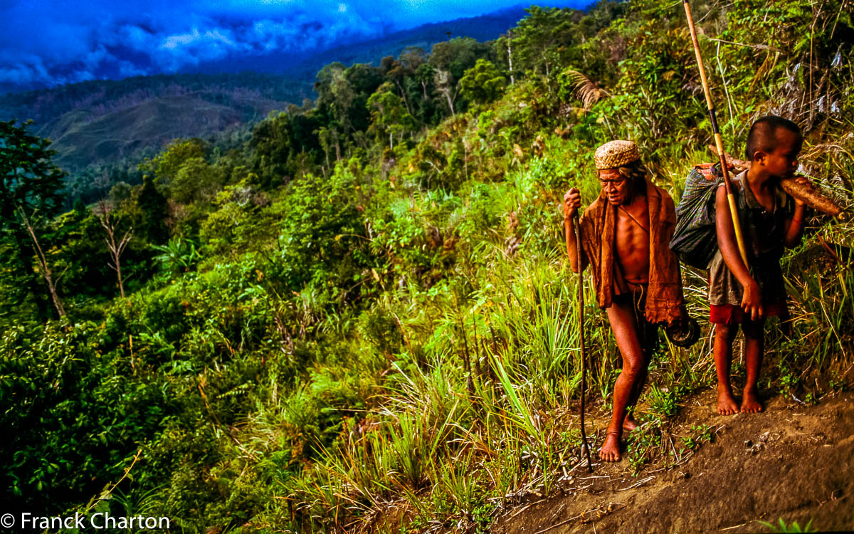 En route vers un campement de forêt. 