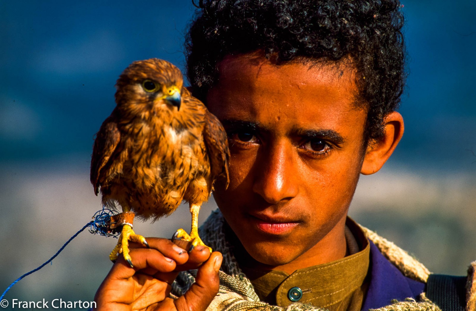 Jeune homme et son faucon à Sana’a. La fauconnerie reste un passion au Moyen-Orient. 